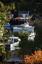 New Harbor dans le Maine. © Philip Plisson / Plisson La Trinité / AA13248 - Nos reportages photos - Ville [Maine]