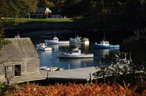 New Harbor dans le Maine. © Philip Plisson / Plisson La Trinité / AA13250 - Nos reportages photos - Nouvelle Angleterre