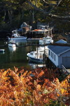 New Harbor dans le Maine. © Philip Plisson / Plisson La Trinité / AA13252 - Nos reportages photos - Ville [Maine]