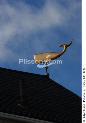 Marblehead dans le Massachusetts. - © Philip Plisson / Plisson La Trinité / AA13633 - Nos reportages photos - Détails