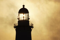 Montauk Point Light. © Philip Plisson / Plisson La Trinité / AA13820 - Nos reportages photos - Contre-jour