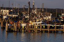 Point Judith Harbour dans l'état du Rhode Island. © Philip Plisson / Plisson La Trinité / AA13867 - Nos reportages photos - Ville [Rhode Island]