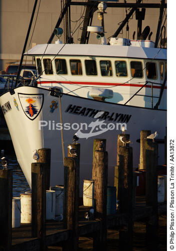 Point Judith Harbour dans l'état du Rhode Island. - © Philip Plisson / Plisson La Trinité / AA13872 - Nos reportages photos - Nouvelle Angleterre