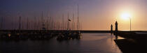 Early morning in the port of Palais. © Philip Plisson / Plisson La Trinité / AA13964 - Photo Galleries - Dawn