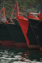Dans le port d'Aberdeen à Hong Kong. © Philip Plisson / Plisson La Trinité / AA13991 - Nos reportages photos - Elément d'un bateau