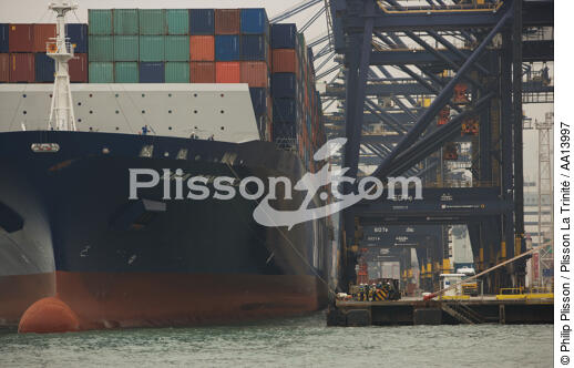 Terminal de porte conteneurs dans le port de Kowloon. - © Philip Plisson / Plisson La Trinité / AA13997 - Nos reportages photos - Porte-conteneurs