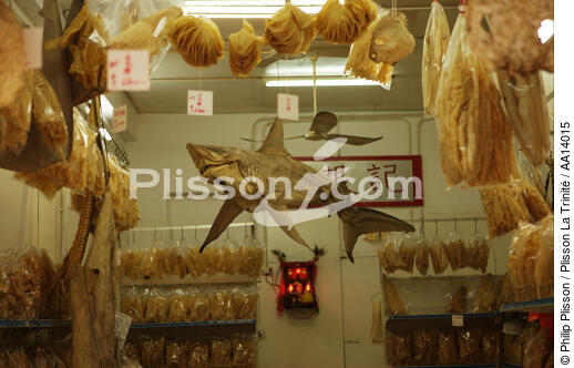 Dried fish in Hong Kong. - © Philip Plisson / Plisson La Trinité / AA14015 - Photo Galleries - Fish