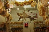 Dried fish in Hong Kong. © Philip Plisson / Plisson La Trinité / AA14015 - Photo Galleries - Fish