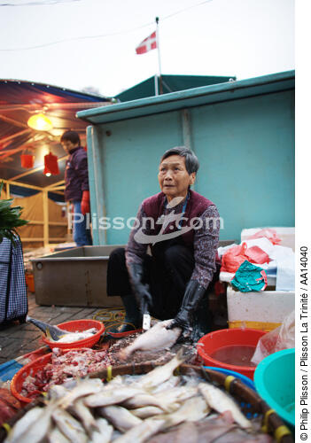 Vente de poisson dans le port d'Aberdeen à Hong Kong. - © Philip Plisson / Plisson La Trinité / AA14040 - Nos reportages photos - Femme