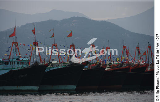 Bateaux de pêche à Aberdeen, Hong Kong. - © Philip Plisson / Plisson La Trinité / AA14047 - Nos reportages photos - Aberdeen [Hong Kong]