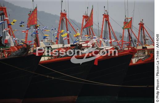 Bateaux de pêche à Aberdeen, Hong Kong. - © Philip Plisson / Plisson La Trinité / AA14048 - Nos reportages photos - Aberdeen [Hong Kong]