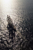 Cutty Sark 2003. © Philip Plisson / Plisson La Trinité / AA14059 - Nos reportages photos - Grand voilier