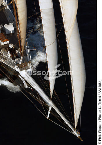Cutty Sark 2003. - © Philip Plisson / Plisson La Trinité / AA14064 - Nos reportages photos - Goélette