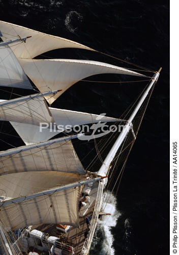 Cutty Sark 2003. - © Philip Plisson / Plisson La Trinité / AA14065 - Nos reportages photos - Brick-goélette