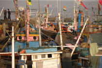 Fishing vessels in the port of Bombay. © Philip Plisson / Plisson La Trinité / AA14080 - Photo Galleries - Bombay
