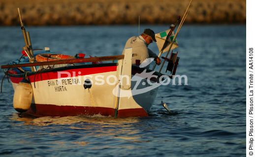 Petite pêche aux Açores. - © Philip Plisson / Plisson La Trinité / AA14108 - Nos reportages photos - Portugal
