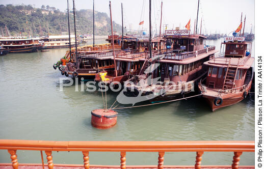 Junk in the bay of Ha Long. - © Philip Plisson / Plisson La Trinité / AA14134 - Photo Galleries - Site of interest [Vietnam]