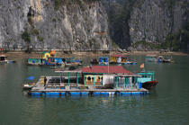 Maison flottante dans la baie d'Ha Long. © Philip Plisson / Plisson La Trinité / AA14135 - Nos reportages photos - Vietnam