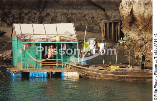 Maison flottante dans la baie d'Ha Long. - © Philip Plisson / Plisson La Trinité / AA14142 - Nos reportages photos - Vietnam