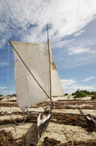 Anakao - Madagascar. © Philip Plisson / Plisson La Trinité / AA14453 - Nos reportages photos - Canal de Mozambique