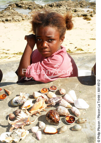 Ifaty - Madagascar. - © Philip Plisson / Plisson La Trinité / AA14512 - Nos reportages photos - Coquillage