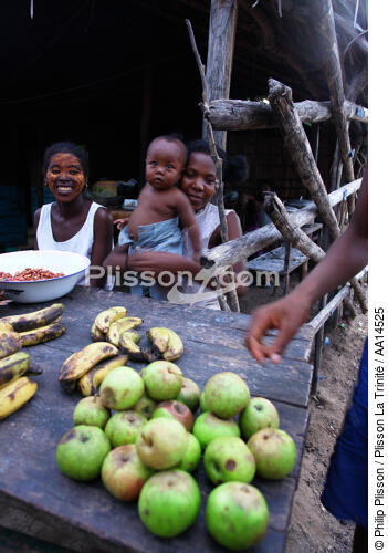 Ifaty - Madagascar. - © Philip Plisson / Plisson La Trinité / AA14525 - Nos reportages photos - Flore