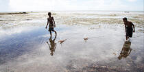 Ifaty - Madagascar. © Philip Plisson / Plisson La Trinité / AA14578 - Nos reportages photos - Madagascar