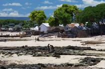 Ifaty - Madagascar. © Philip Plisson / Plisson La Trinité / AA14619 - Nos reportages photos - Ifaty