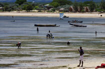 Ifaty - Madagascar. © Philip Plisson / Plisson La Trinité / AA14620 - Photo Galleries - Town [Madagascar]