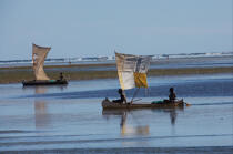Ifaty - Madagascar. © Philip Plisson / Plisson La Trinité / AA14629 - Photo Galleries - Mozambique Canal