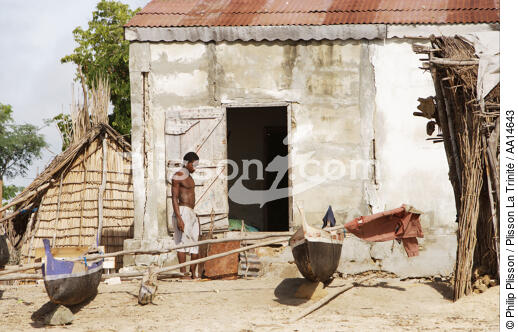 Ifaty - Madagascar. - © Philip Plisson / Plisson La Trinité / AA14643 - Nos reportages photos - Madagascar