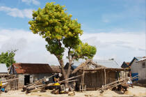 Ifaty - Madagascar. © Philip Plisson / Plisson La Trinité / AA14648 - Nos reportages photos - Océan Indien