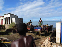 Tuléar - Madagascar. © Philip Plisson / Plisson La Trinité / AA14754 - Nos reportages photos - Faune