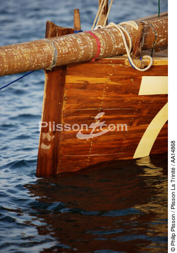 Dhow regatta in Dubaï. - © Philip Plisson / Plisson La Trinité / AA14868 - Photo Galleries - Elements of boat