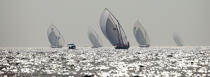 Dhow regatta in Dubaï. © Philip Plisson / Plisson La Trinité / AA14889 - Photo Galleries - Backlit
