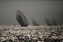 Dhow regatta in Dubaï. © Philip Plisson / Plisson La Trinité / AA14890 - Photo Galleries - United arab emirates