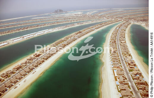 Jumeirah Palm in Dubai. - © Philip Plisson / Plisson La Trinité / AA14916 - Photo Galleries - Building