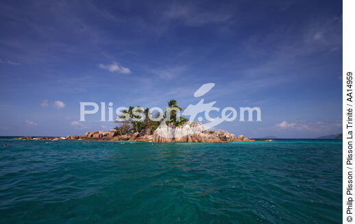 Seychelles. - © Philip Plisson / Plisson La Trinité / AA14959 - Photo Galleries - Palm tree
