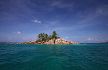 Seychelles. © Philip Plisson / Plisson La Trinité / AA14959 - Photo Galleries - Tree
