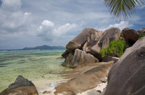 Seychelles. © Philip Plisson / Plisson La Trinité / AA14989 - Photo Galleries - Flora