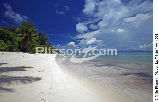 Plage aux Seychelles. - © Philip Plisson / Plisson La Trinité / AA14996 - Nos reportages photos - Palmier