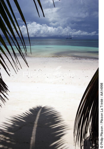 Plage aux Seychelles. - © Philip Plisson / Plisson La Trinité / AA14998 - Nos reportages photos - Flore