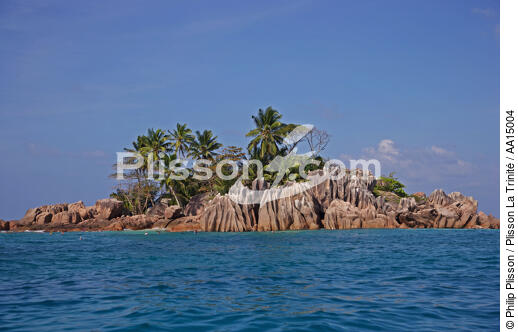 Les Seychelles. - © Philip Plisson / Plisson La Trinité / AA15004 - Nos reportages photos - Palmier