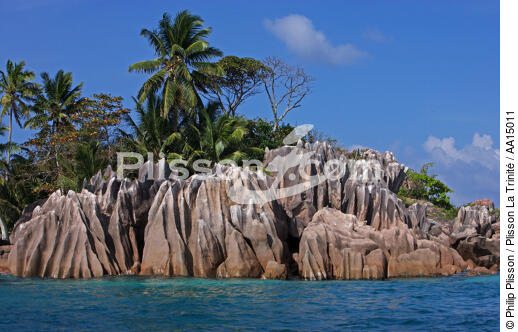 The Seychelles. - © Philip Plisson / Plisson La Trinité / AA15011 - Photo Galleries - Palm tree