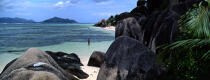 The Seychelles. © Philip Plisson / Plisson La Trinité / AA15015 - Photo Galleries - Flora