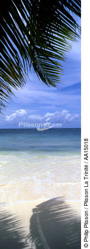 Les Seychelles. - © Philip Plisson / Plisson La Trinité / AA15018 - Nos reportages photos - Plage