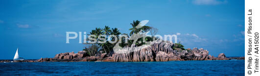 The Seychelles. - © Philip Plisson / Plisson La Trinité / AA15020 - Photo Galleries - Palm tree