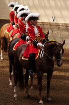 Republican guard, quartier des Célestins © Philip Plisson / Plisson La Trinité / AA15129 - Photo Galleries - Horse