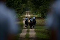 Dans le parc de Chambord. © Philip Plisson / Plisson La Trinité / AA15177 - Nos reportages photos - Régiment de cavalerie