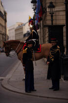 Republican guard. Palais de l'Elysée © Philip Plisson / Plisson La Trinité / AA15229 - Photo Galleries - Horse